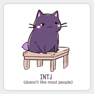 INTJ cat Magnet